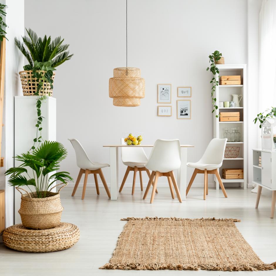 Perspectives du programme 