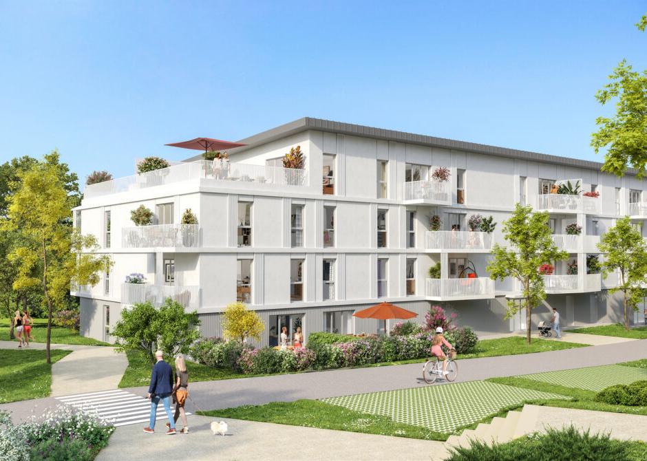 Perspective principale du programme