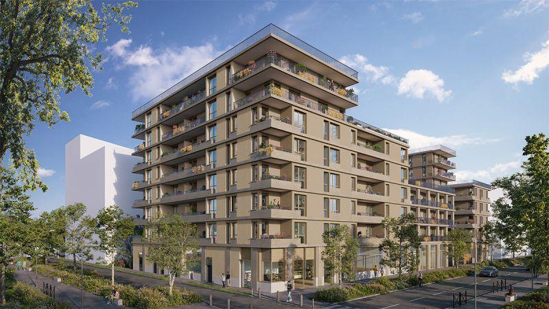 Perspective principale du programme