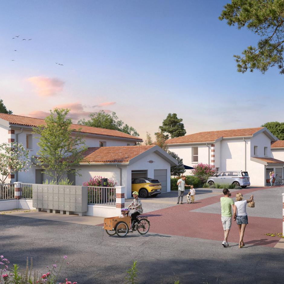 Perspective principale du programme