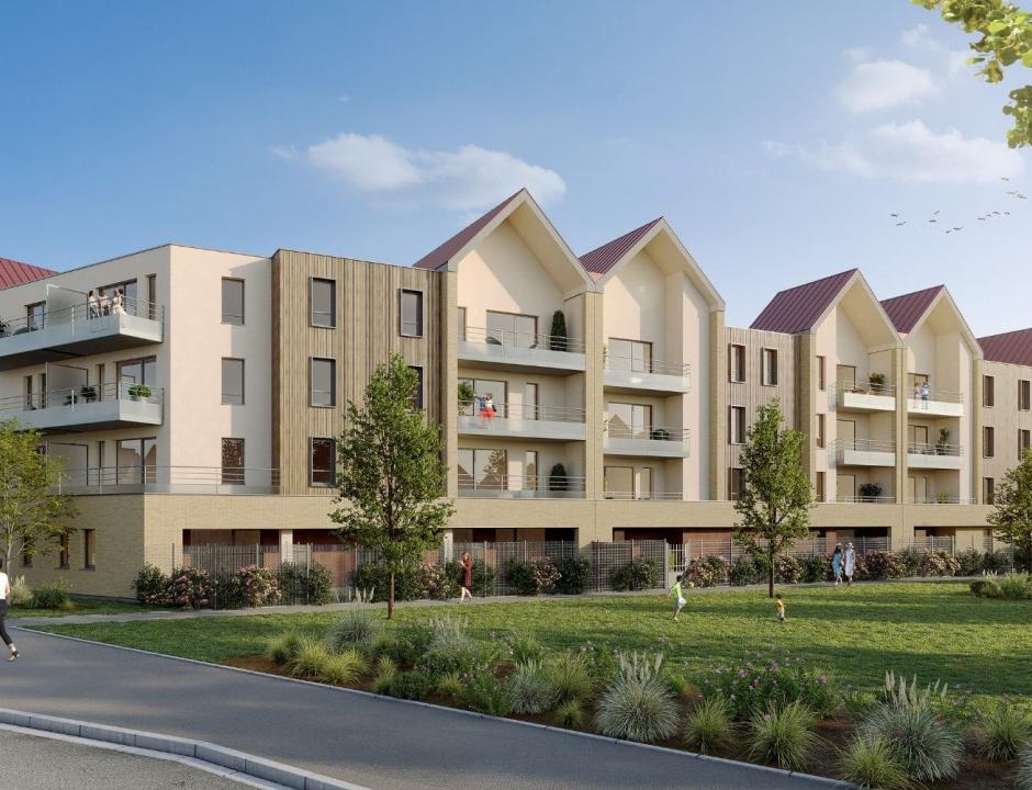 Perspective principale du programme