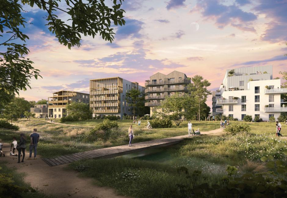 Perspective principale du programme