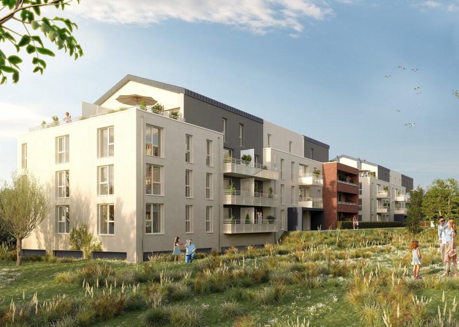 Perspective principale du programme