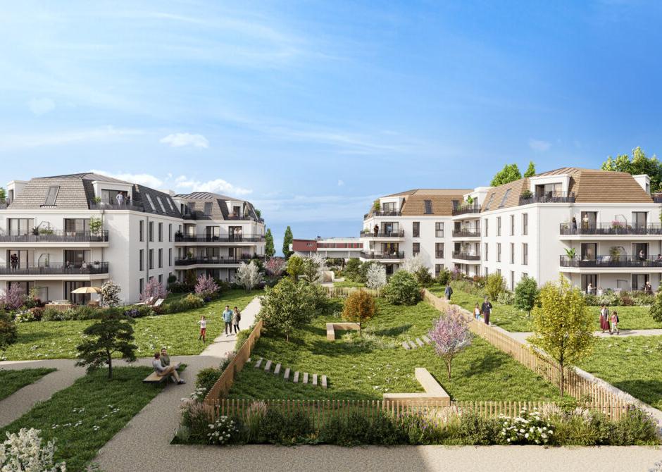 Perspective principale du programme