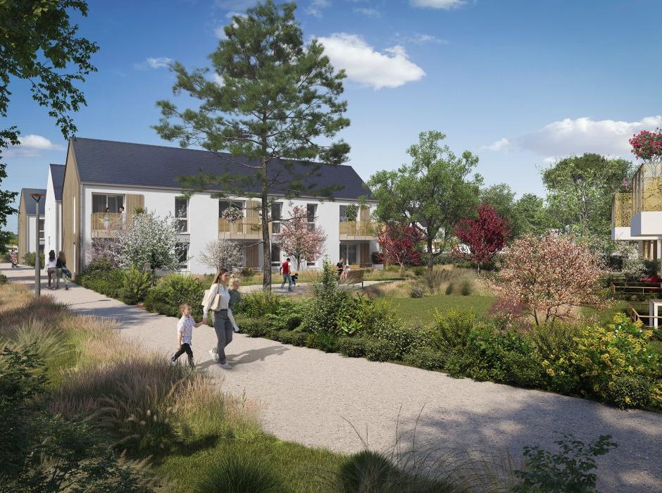 Perspective principale du programme