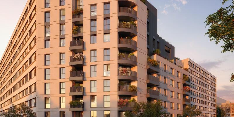 Perspective principale du programme