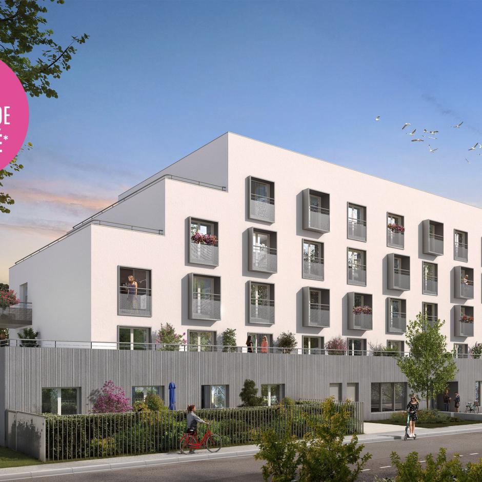 Perspective principale du programme