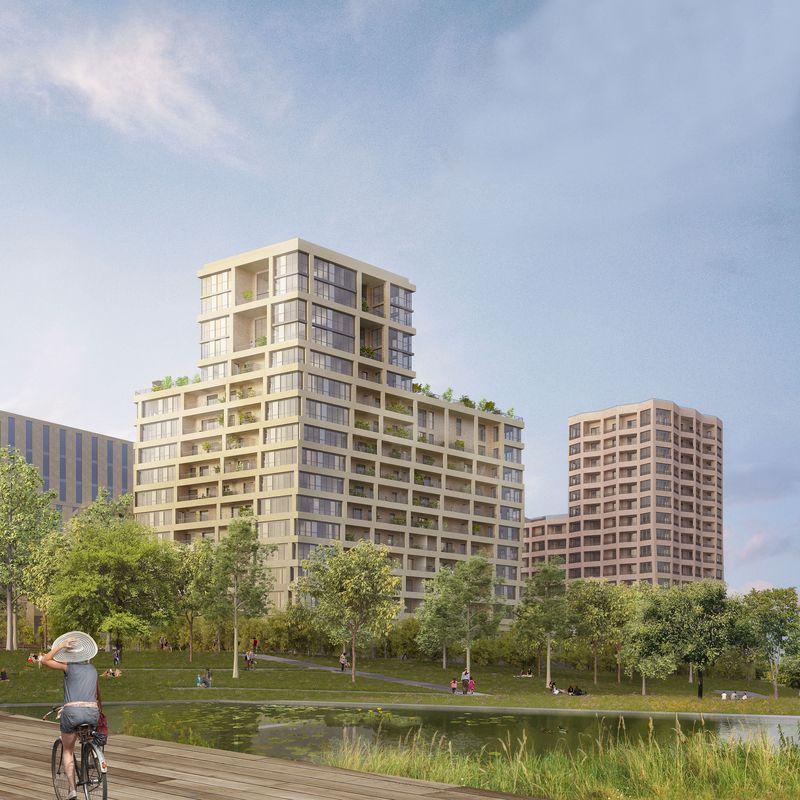 Perspective principale du programme