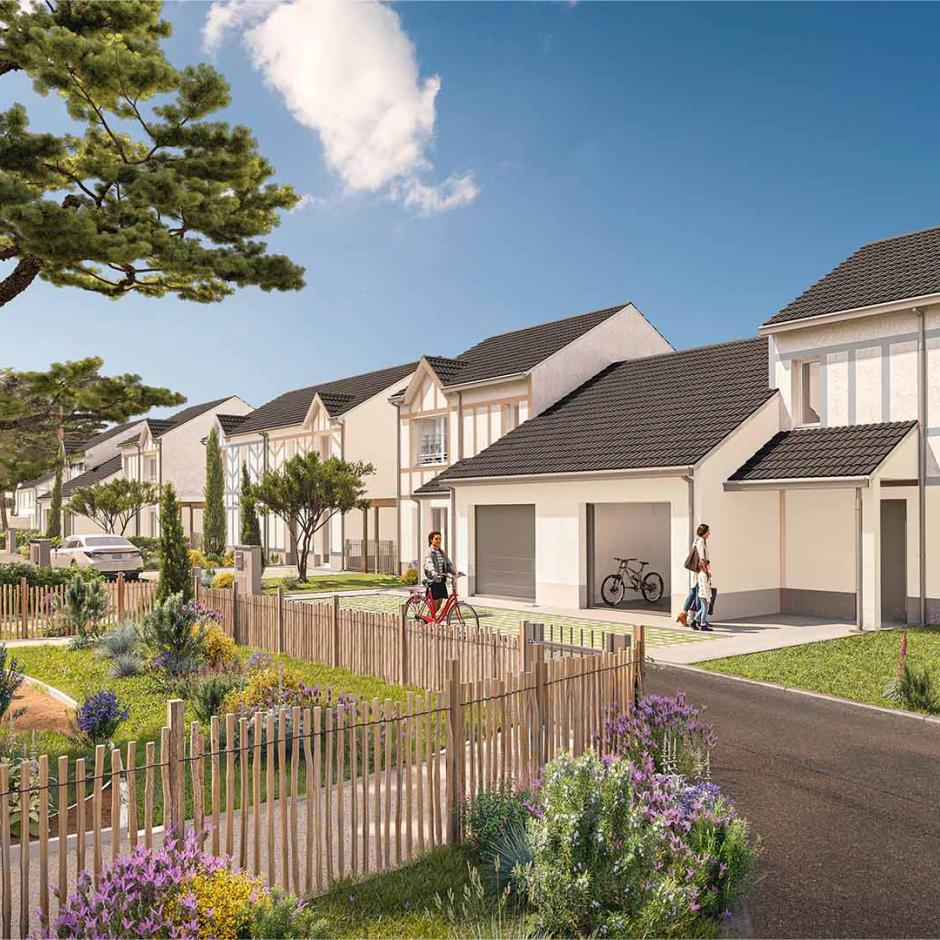 Perspective principale du programme