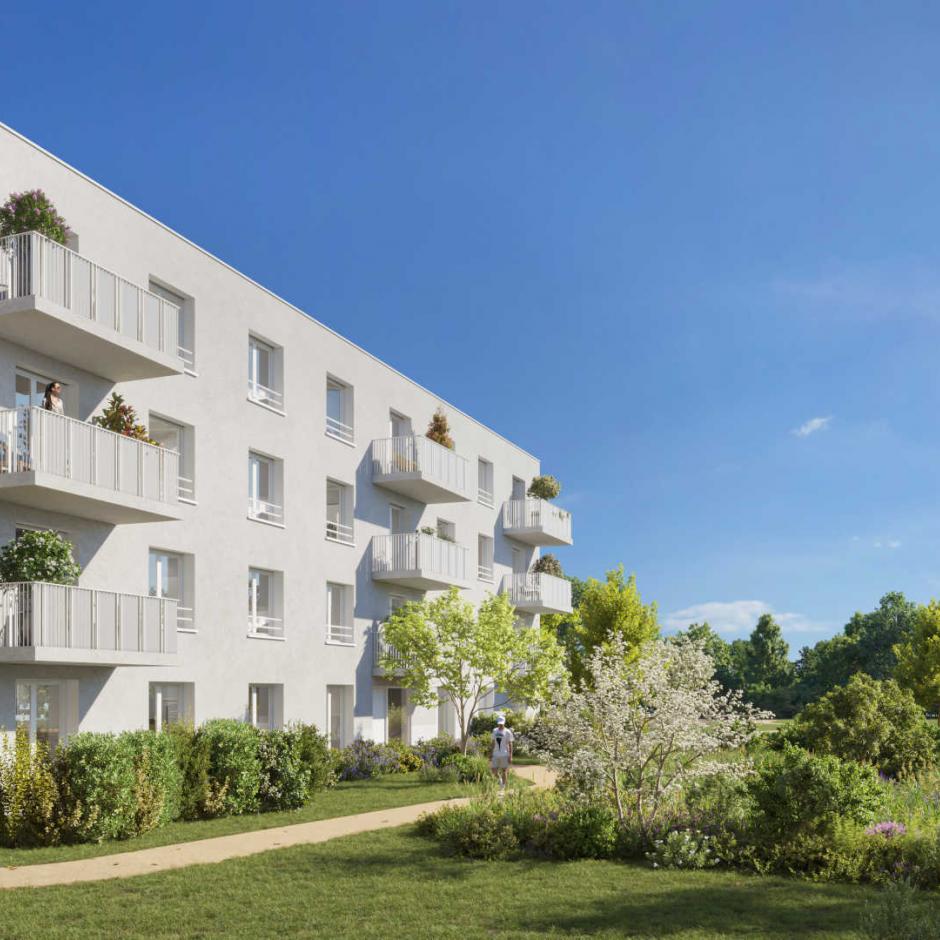 Perspective principale du programme