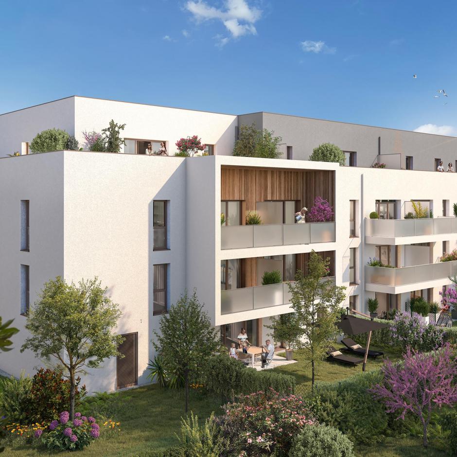 Perspective principale du programme