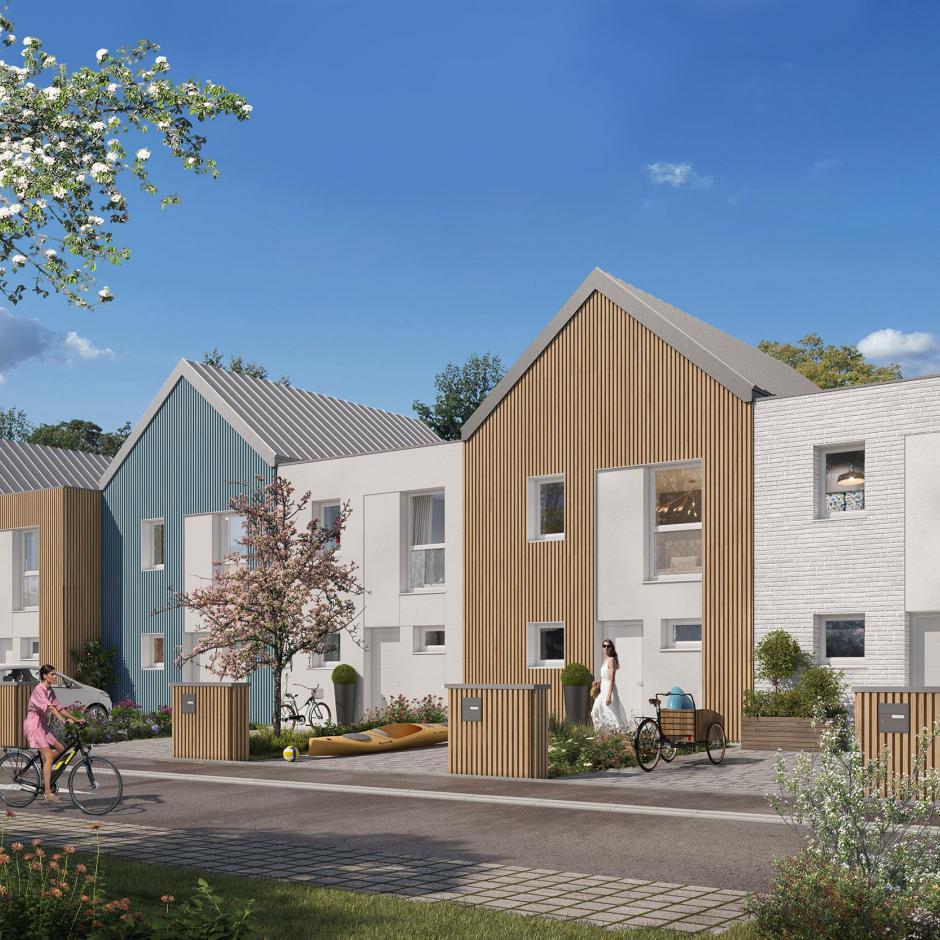 Perspective principale du programme