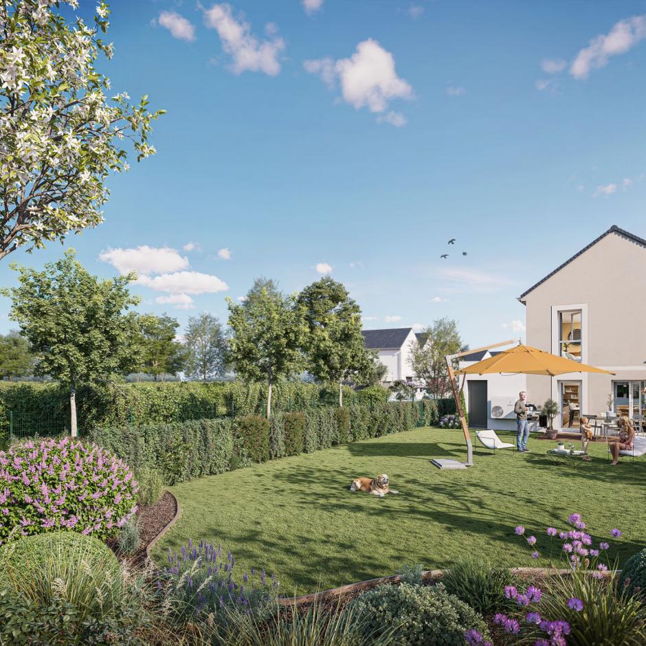 Perspective principale du programme