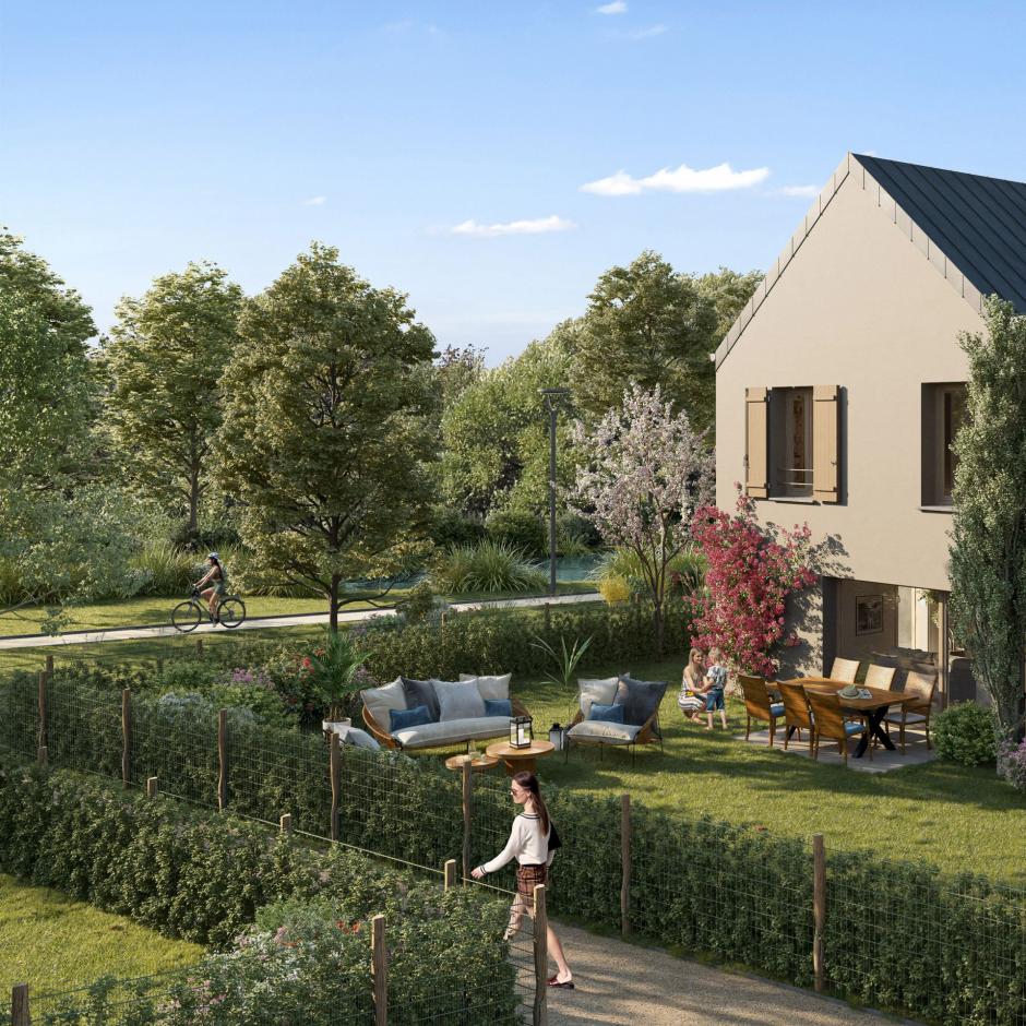 Perspective principale du programme