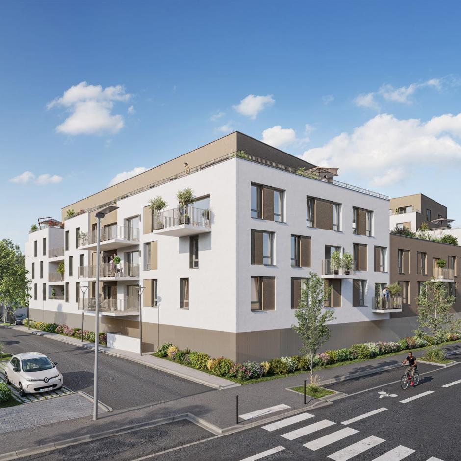 Perspective principale du programme