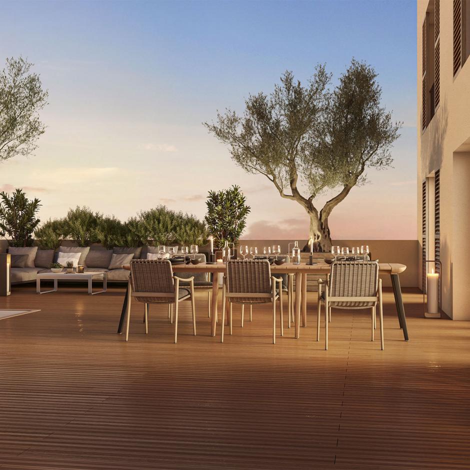 Perspective principale du programme