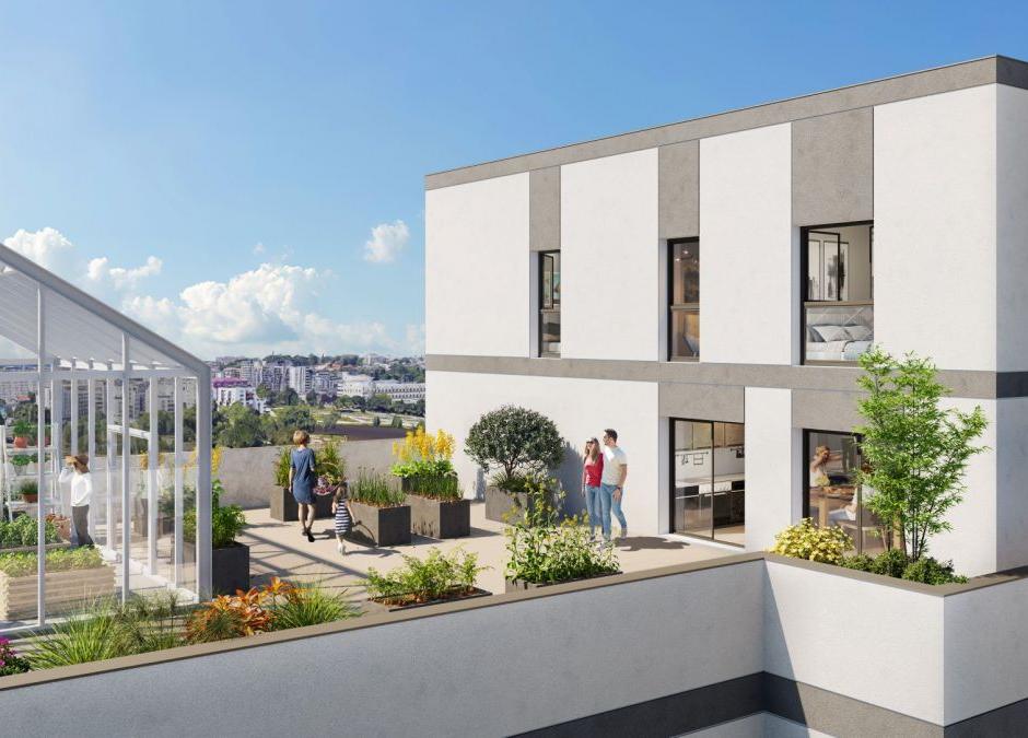 Perspective principale du programme