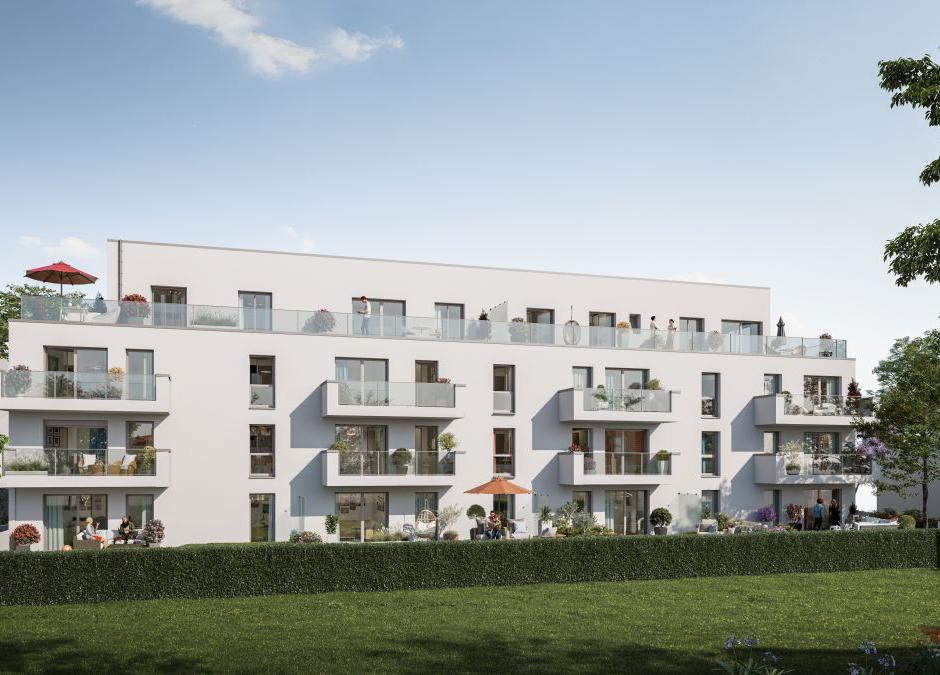 Perspective principale du programme