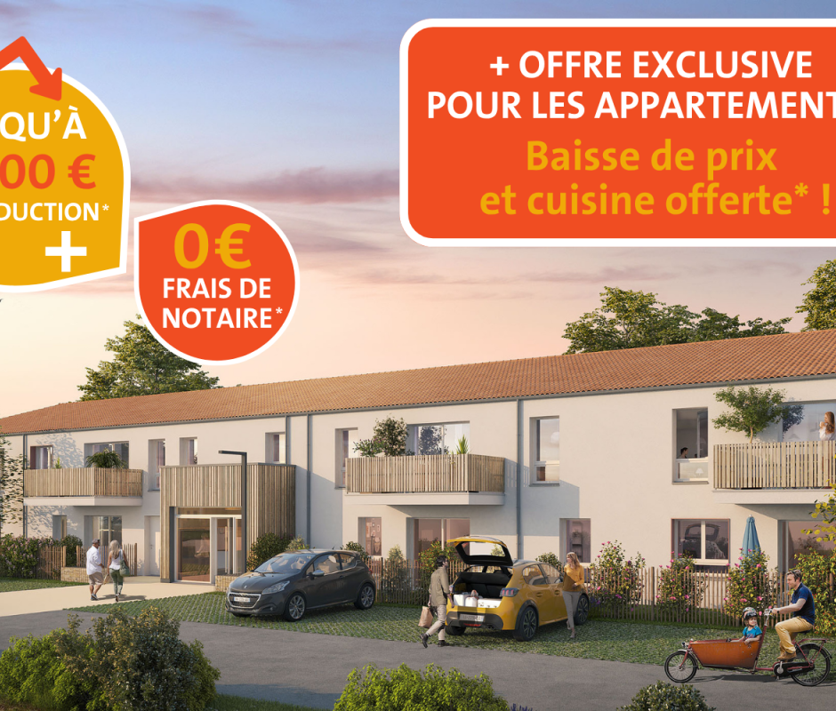 Perspective principale du programme