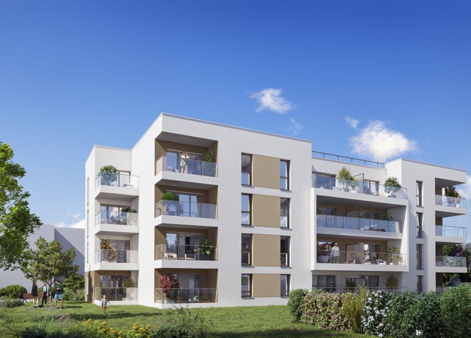 Perspective principale du programme