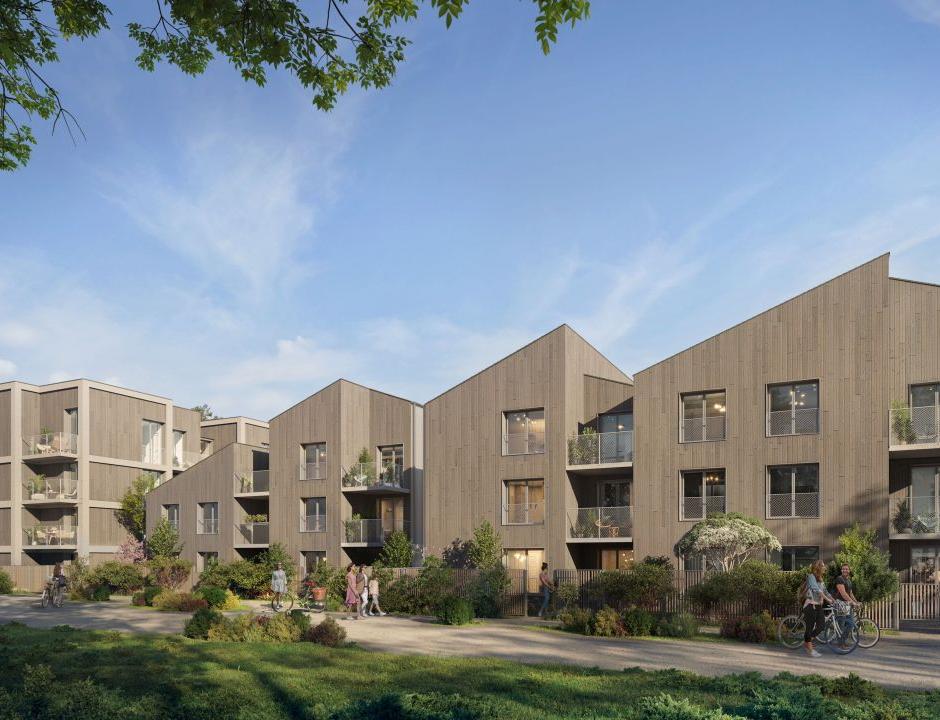 Perspective principale du programme