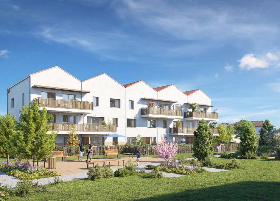 Perspective principale du programme