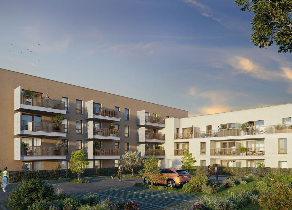 Perspective principale du programme