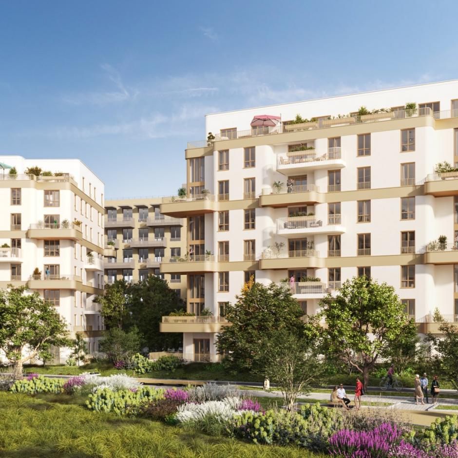 Perspective principale du programme