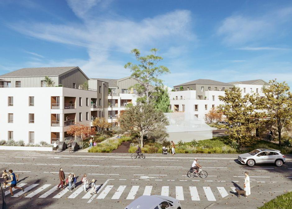 Perspective principale du programme