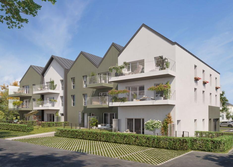 Perspective principale du programme