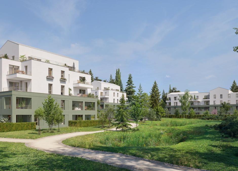 Perspective principale du programme