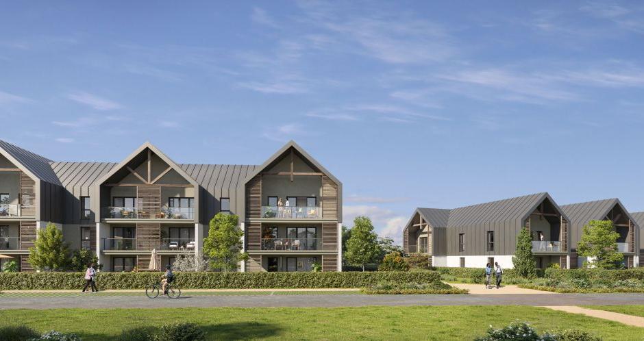 Perspective principale du programme