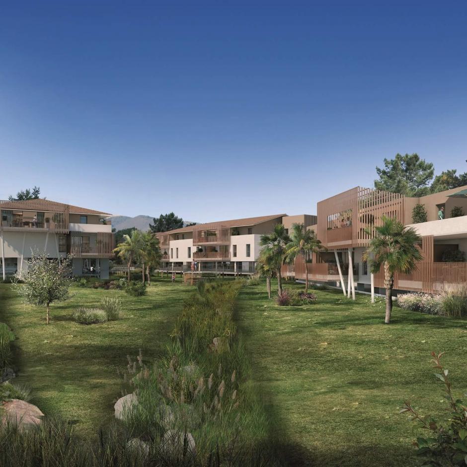 Perspective principale du programme