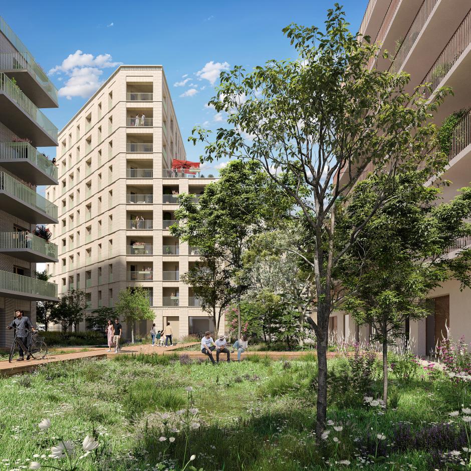 Perspective principale du programme