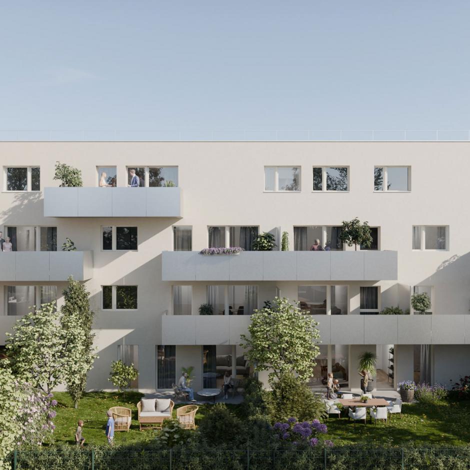 Perspective principale du programme