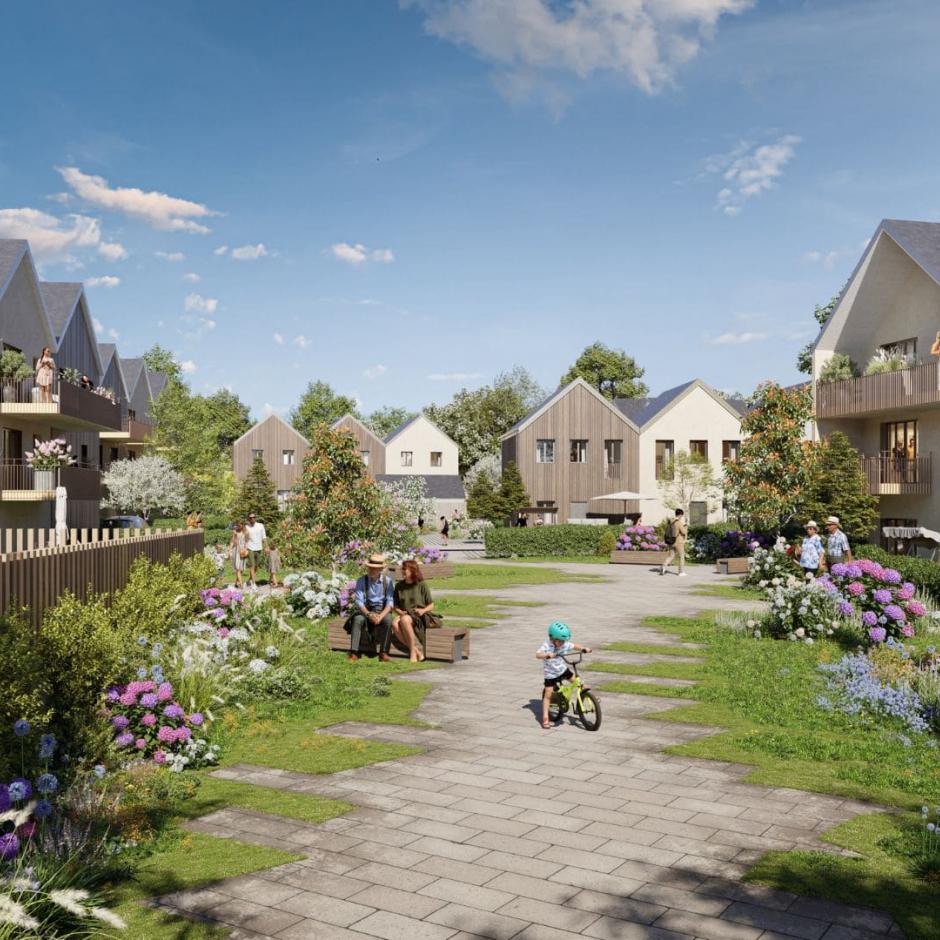 Perspective principale du programme