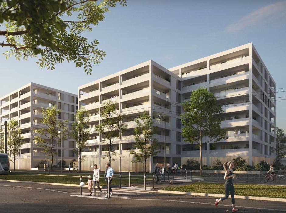 Perspective principale du programme