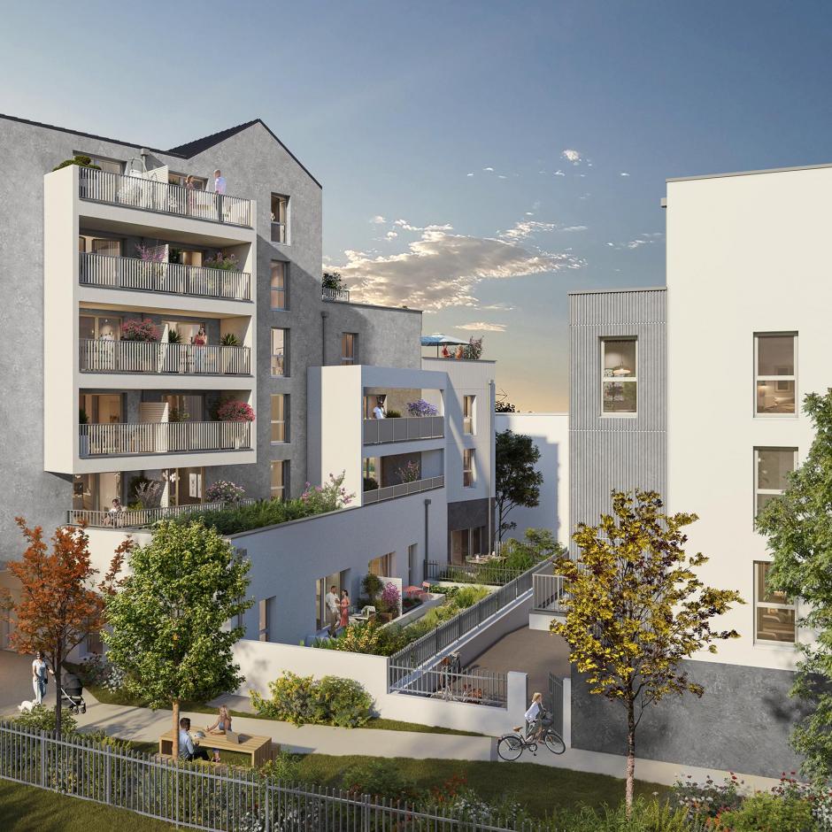 Perspective principale du programme