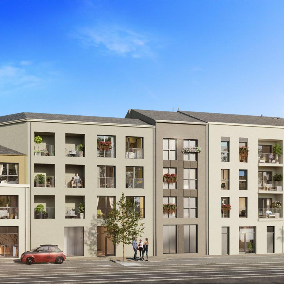 Perspective principale du programme