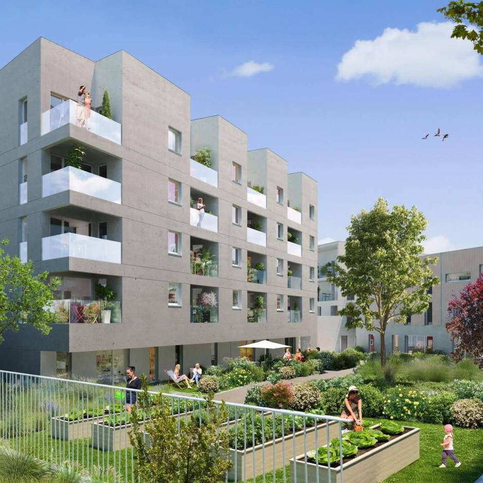 Perspective principale du programme