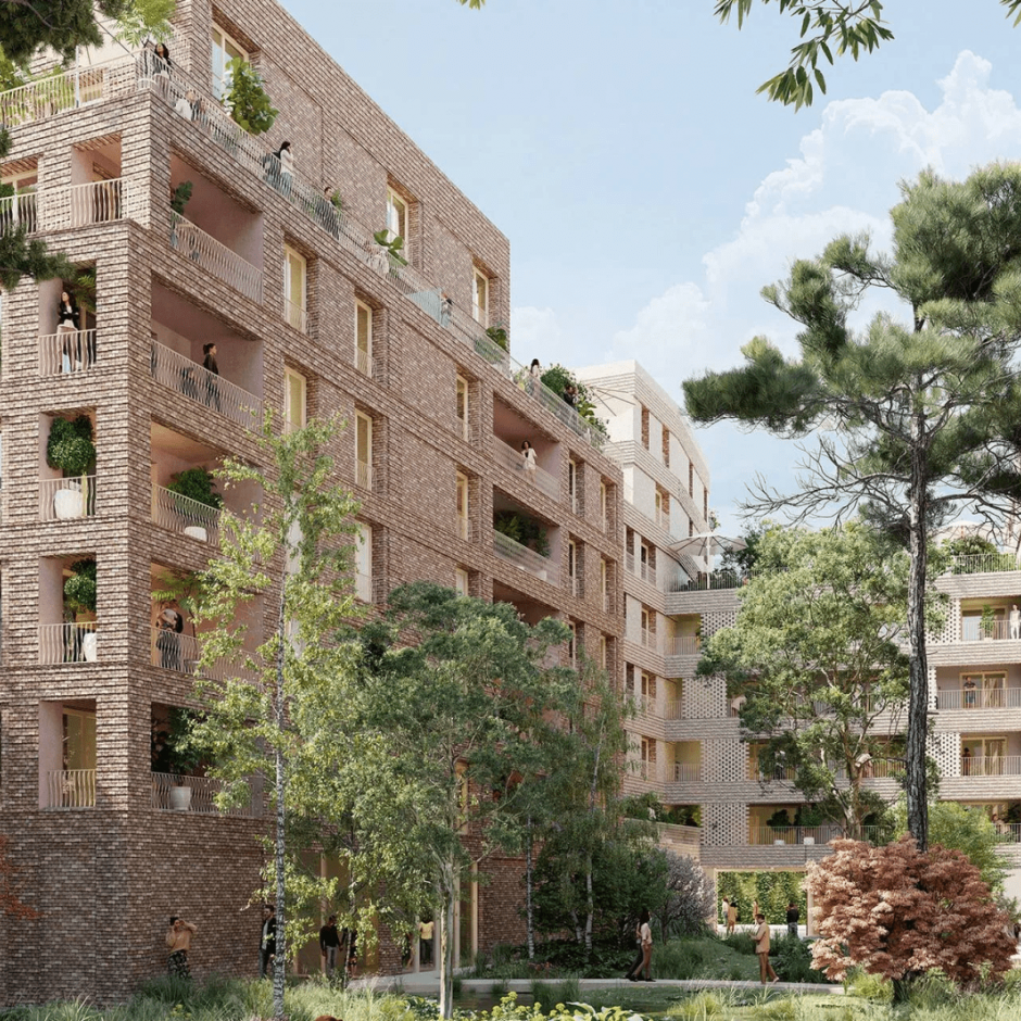 Perspective principale du programme