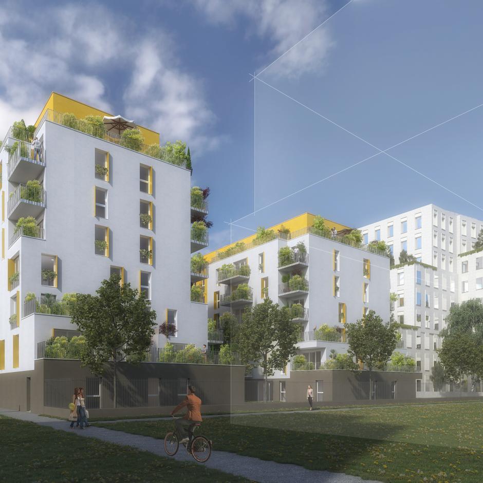 Perspective principale du programme