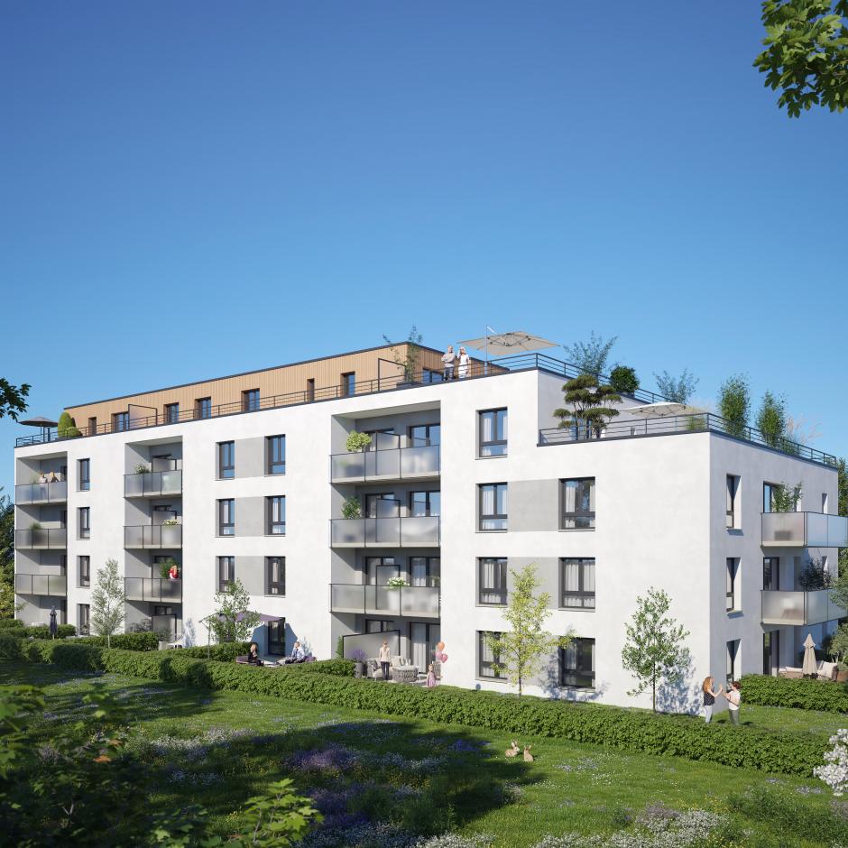 Perspective principale du programme