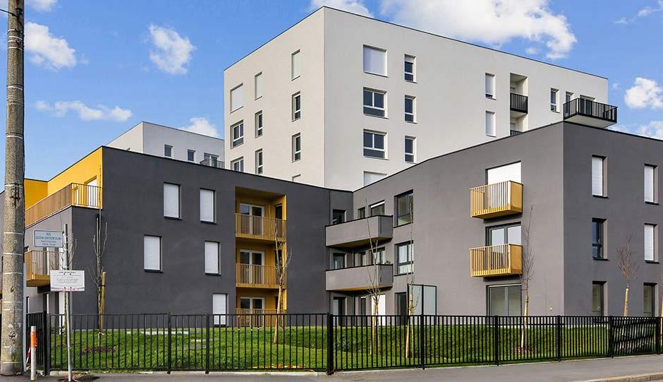 Perspective principale du programme