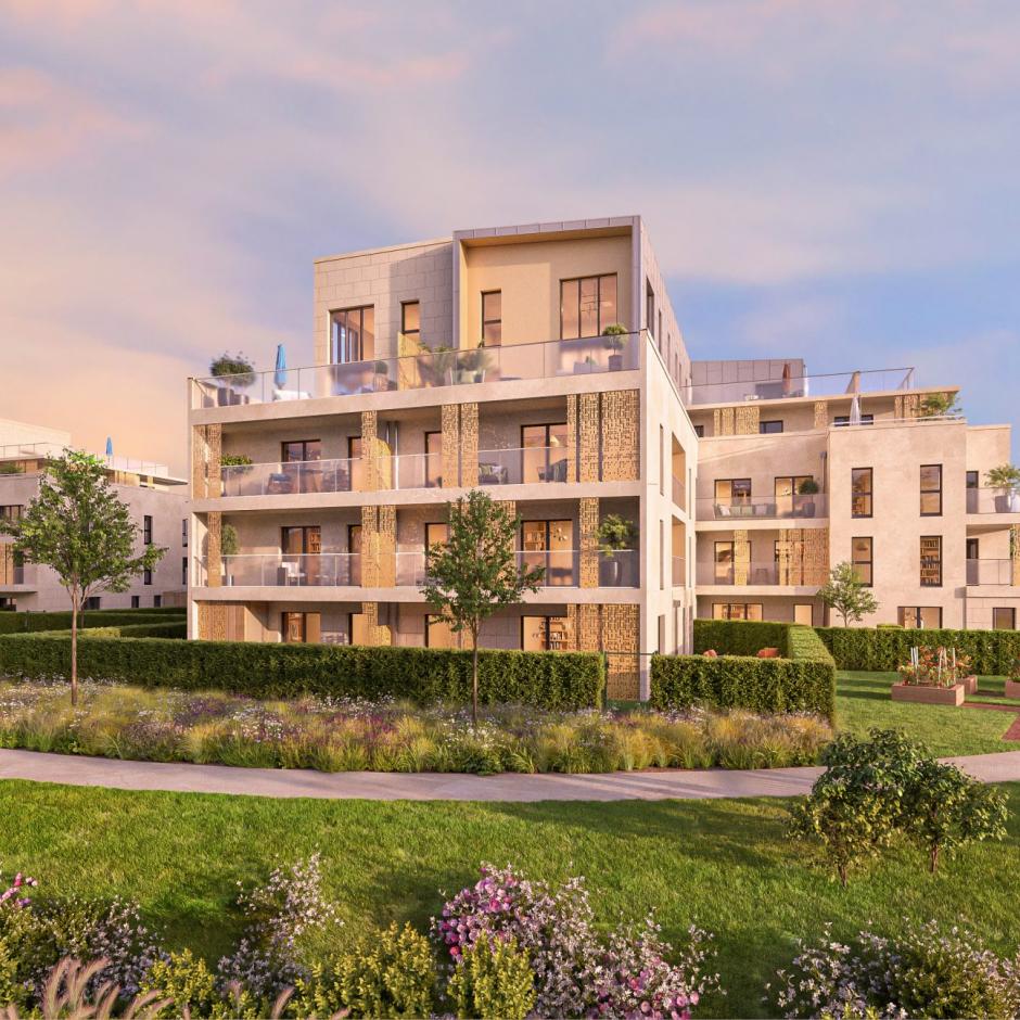 Perspective principale du programme