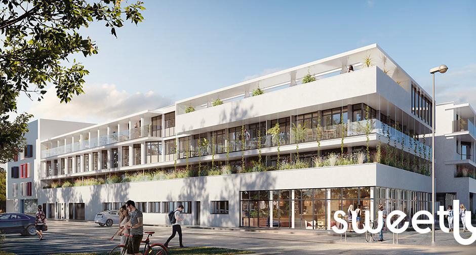 Perspective principale du programme