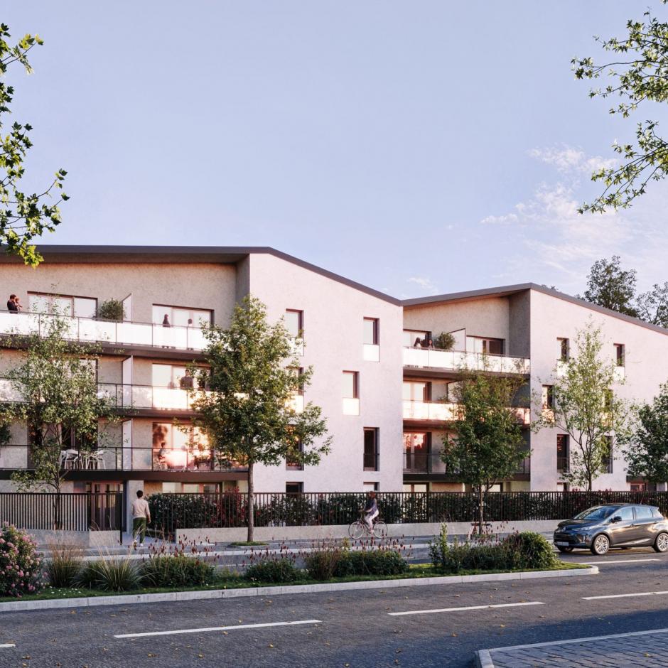 Perspective principale du programme