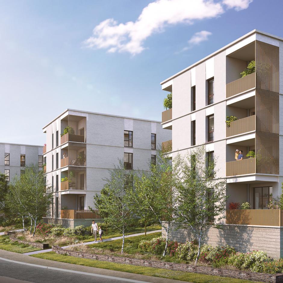 Perspective principale du programme