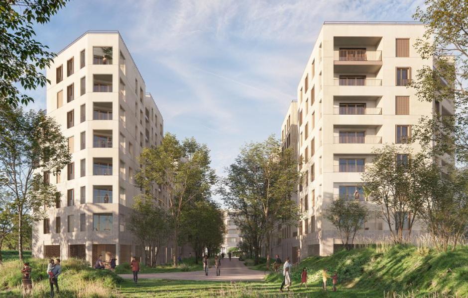 Perspective principale du programme