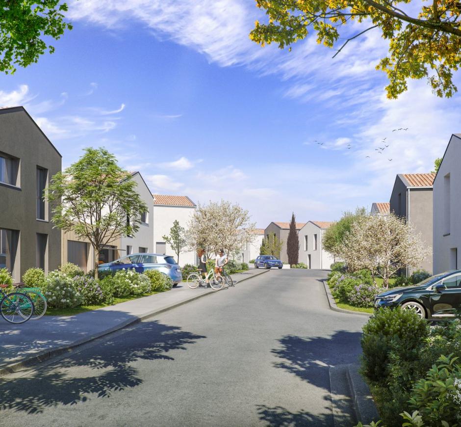 Perspective principale du programme